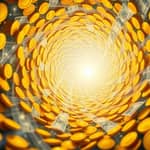 El Vórtice del Dinero: Cómo Atraer y Retener Capital Constantemente