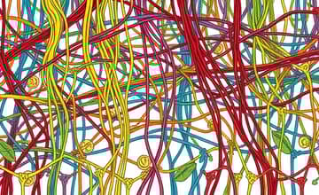 Teje tu Destino: El Entramado de tus Decisions Económicas